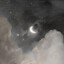 Wisp