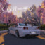 SKYLINE