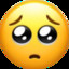 🥺PIEN