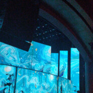 泪水打湿猪脚饭