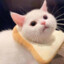 niconico