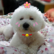 肥姐家的周大同