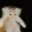 baldasscat