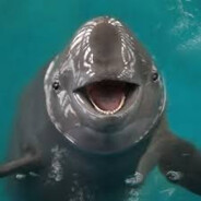 pani_CISAK CASE.GIFTS