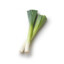 leek