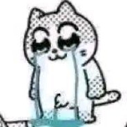 轻晚罗裳醉夕阳