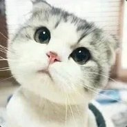 双兴小学第一高手