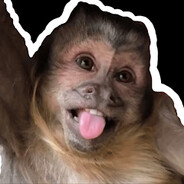 Freitas