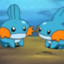 Mudkip