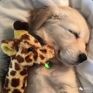 汝等土鸡瓦犬尔