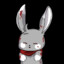 chaotic_Bunniesttv