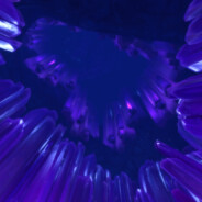 巴黎瑰儿·卡舍川