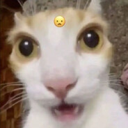 ✂ + Ɑ͞ ̶͞ ﻝﮞ = ♿