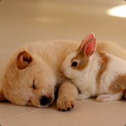 你怕是要挨枪子了哟