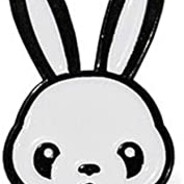 Avatar PndaRabbit