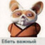 пусси бонпенсьерo