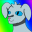 discodogs0313