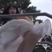 笨笨与呆呆★★★