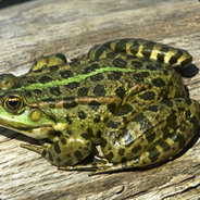 $FILIP$ #MoNeY #PINIĄDZE