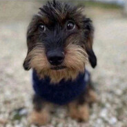 Большая ПИСя