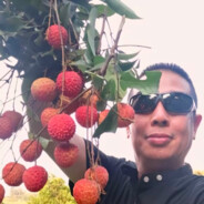 火星水果批发商