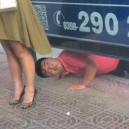 何不從自心中頓見真如