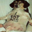 GooseRay