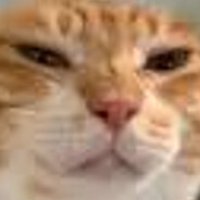 МasonCat