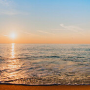 双向的奔赴才有意义