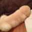 nodickman