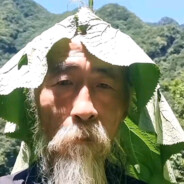 西伯利亚泰坦巨龙