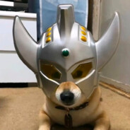 裤衩反穿我最帅