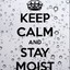 SirMoist