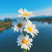 视觉动物保护协会林局