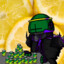 snakepaschaos