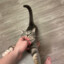 [ TikTok ] FrownyFps™