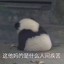 糖醋排骨