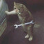 Котаракта
