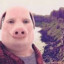 john pork