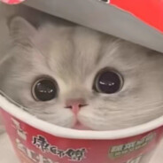 先勇敢的笑不用记住我样子