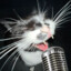 SingingCAT