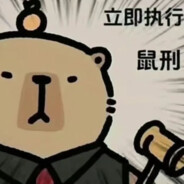 阳光彩虹小白马