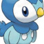 Piplup