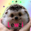 Lewzi