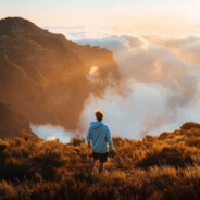 我可以吃一个小电吗