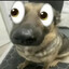 azel