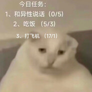 No.13