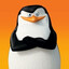 Skipper