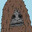 Sassy The Sasquatch