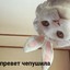 SHUBKKA